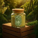 موكب مشاط المورينجا.webp