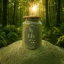 1774571237066 (1).webp